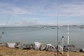 (40) Ile de Ré